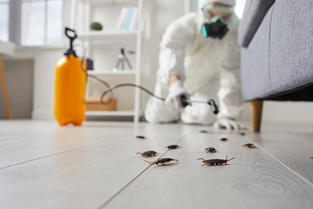 Commercial Kitchen Cockroach Control in Altoona
